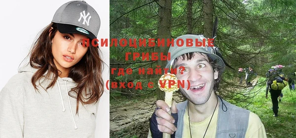 Альфа ПВП Майский