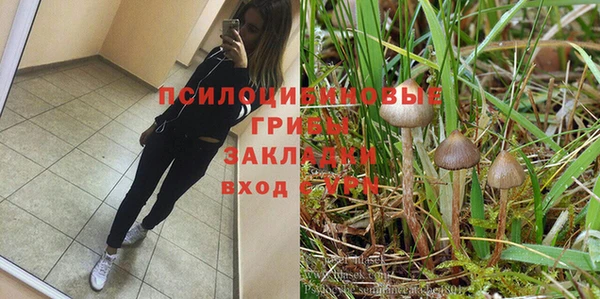 apvp Медногорск