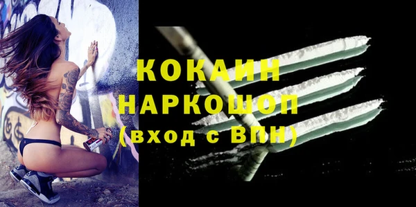 apvp Медногорск