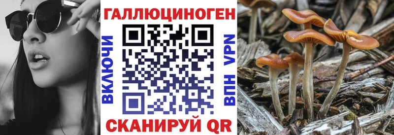 Галлюциногенные грибы Psilocybine cubensis  мега вход  Нижняя Тура  наркотики 